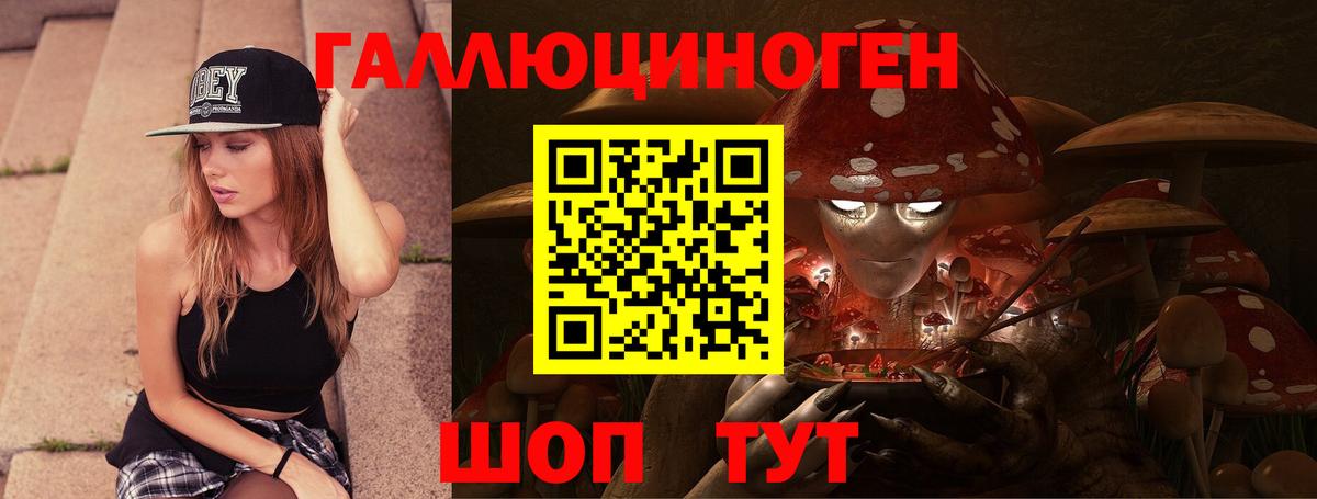 Галлюциногенные грибы Psilocybe Чехов