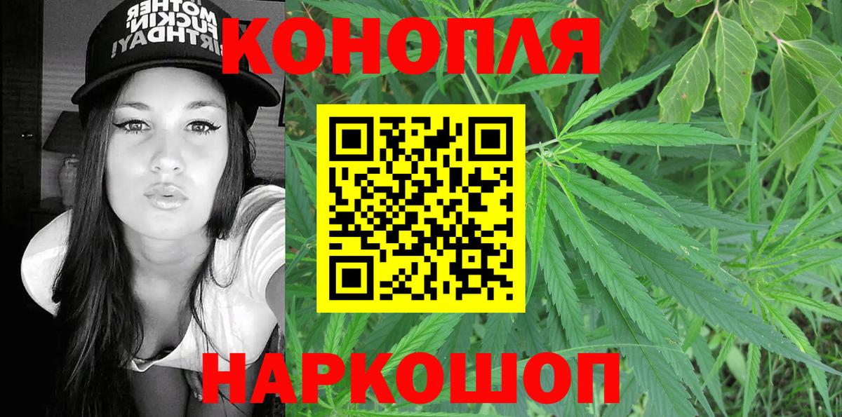 Канабис гибрид Чехов